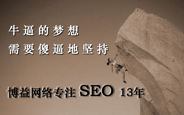 企业网站seo方案看博益 网站优化是您坚持的理由