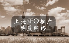 上海网站seo优化