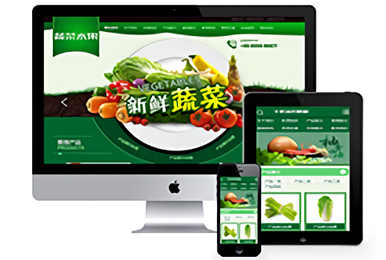 【网站建设】绿色农业水果白菜蔬菜类网站-seo顾问服务